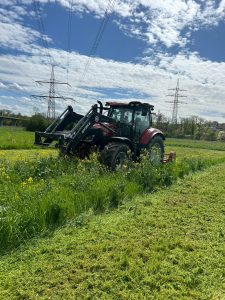 PHOTO-2025-10-25-11-59-37