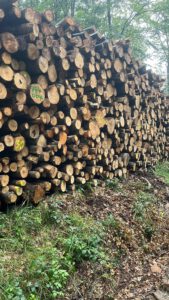 Brennholz nico brennholz07