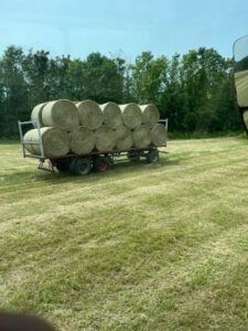 nico landwirtschaft01