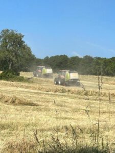 nico landwirtschaft02